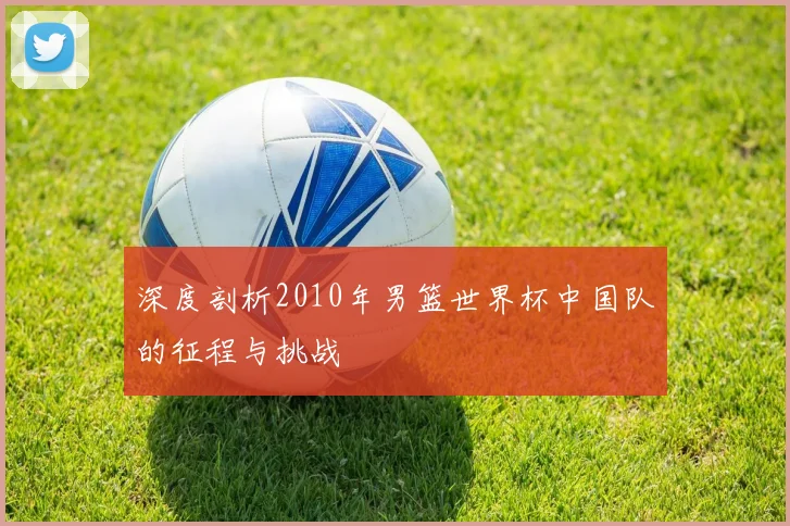 深度剖析2010年男篮世界杯中国队的征程与挑战