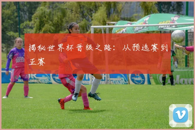 揭秘世界杯晋级之路：从预选赛到正赛