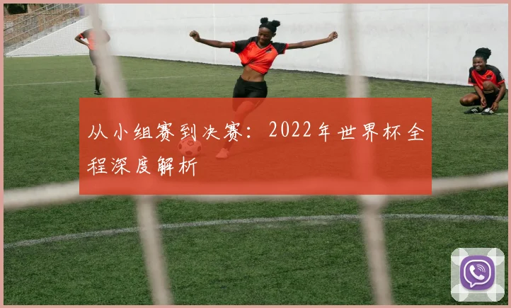 从小组赛到决赛：2022年世界杯全程深度解析