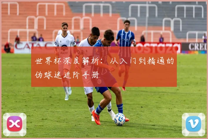世界杯深度解析:从入门到精通的伪球迷进阶手册