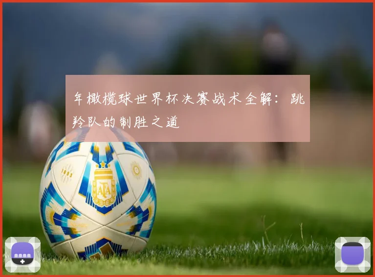 年橄榄球世界杯决赛战术全解:跳羚队的制胜之道