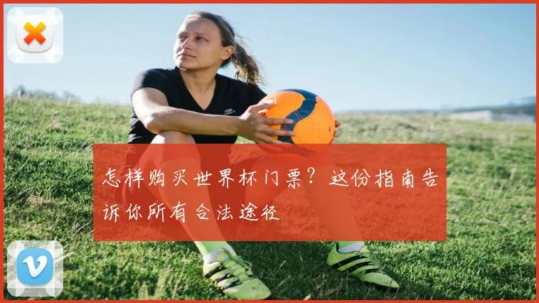 怎样购买世界杯门票？这份指南告诉你所有合法途径