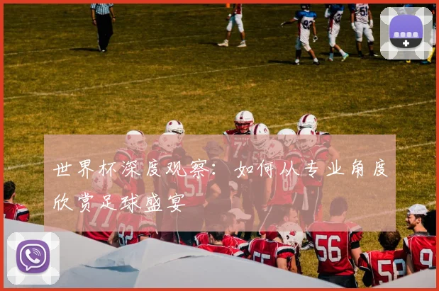 世界杯深度观察:如何从专业角度欣赏足球盛宴