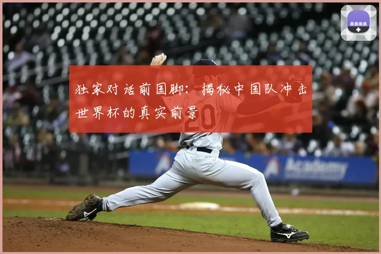独家对话前国脚:揭秘中国队冲击世界杯的真实前景