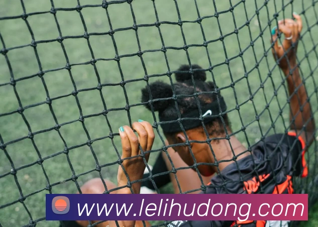 爱游戏 游戏门户网站平台生态图